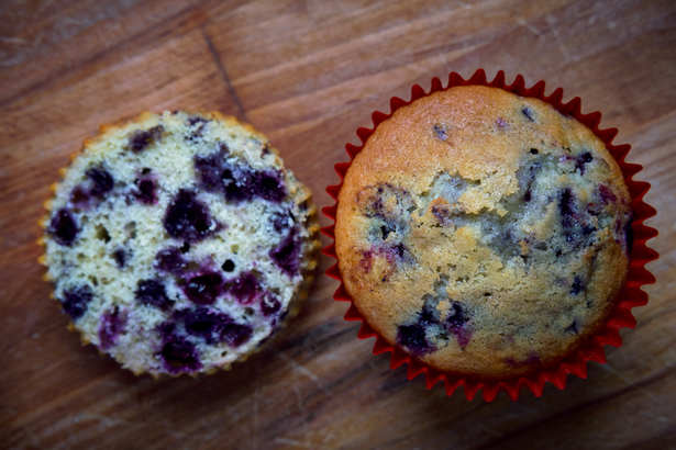 Blueberry Muffin Photo